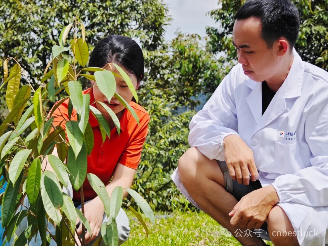 Use Cases in Malaysia