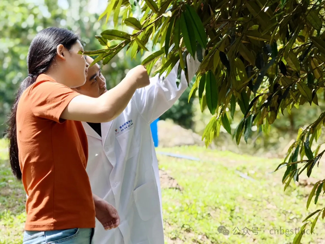 Use Cases in Malaysia