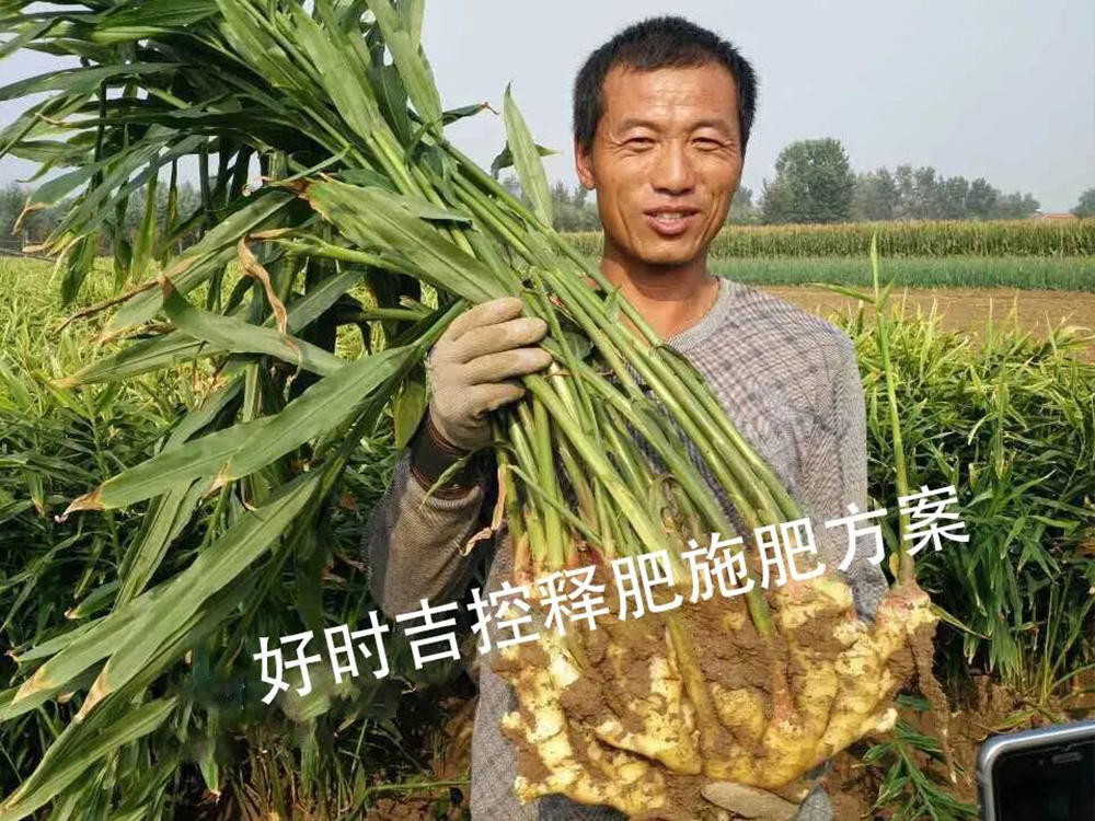 ���r�M����Ч���ܸܵģ�