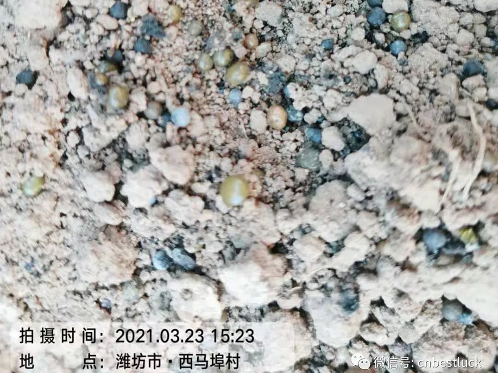 ���r(n��ng)�M����Ч���ܸܵģ�