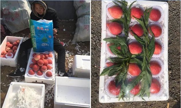 ���h���R�����ҵĜ���ë�����˟���