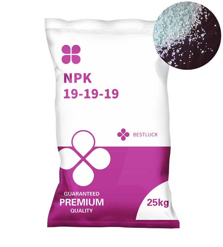 NPK-19-19-19